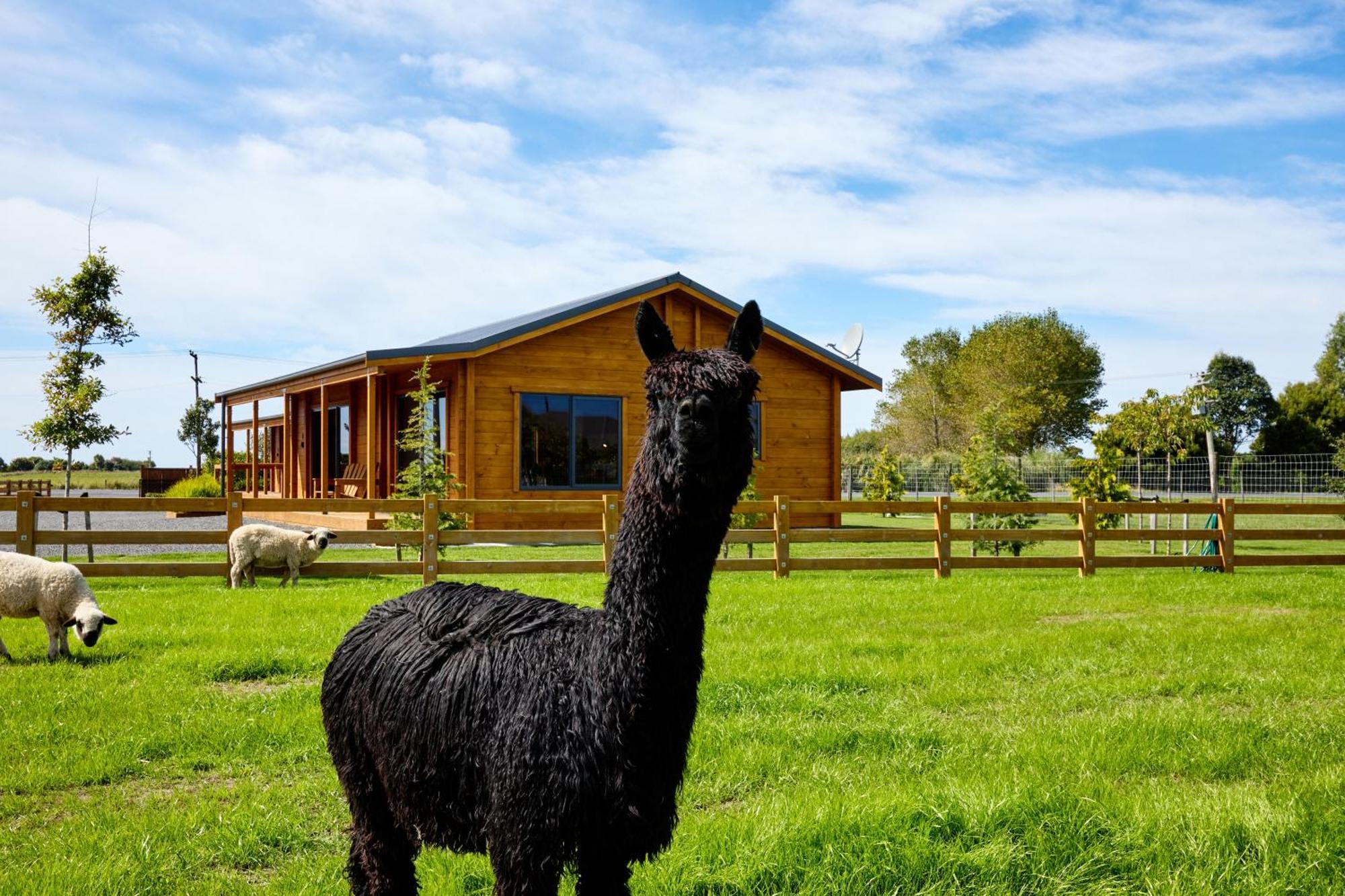 فيلا Deerbrooke Kaikoura Chalets - Chalet 2 المظهر الخارجي الصورة